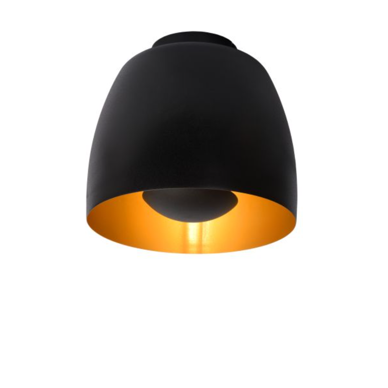Laelamp Nolan