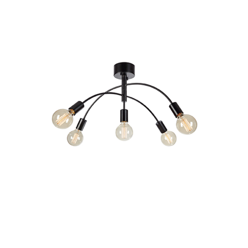 Ceiling lamp Cygnus