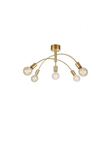 Laelamp Cygnus