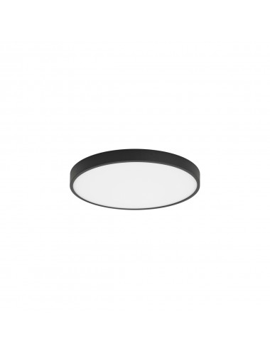 Laelamp Riberio