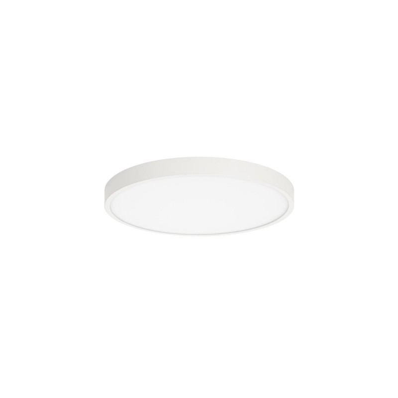 Laelamp Riberio