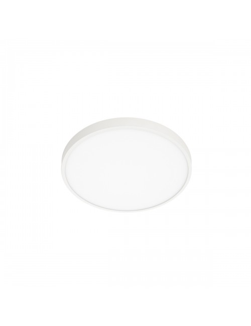 Laelamp Riberio