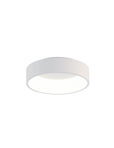 Griestu lampa Dilga 45