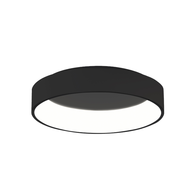 Griestu lampa Dilga 60