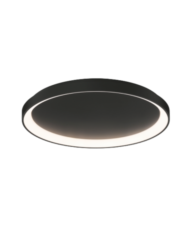 Ceiling lamp Grace 58 P3848270N |ACB Iluminacion | TavaGaisma.lv/en