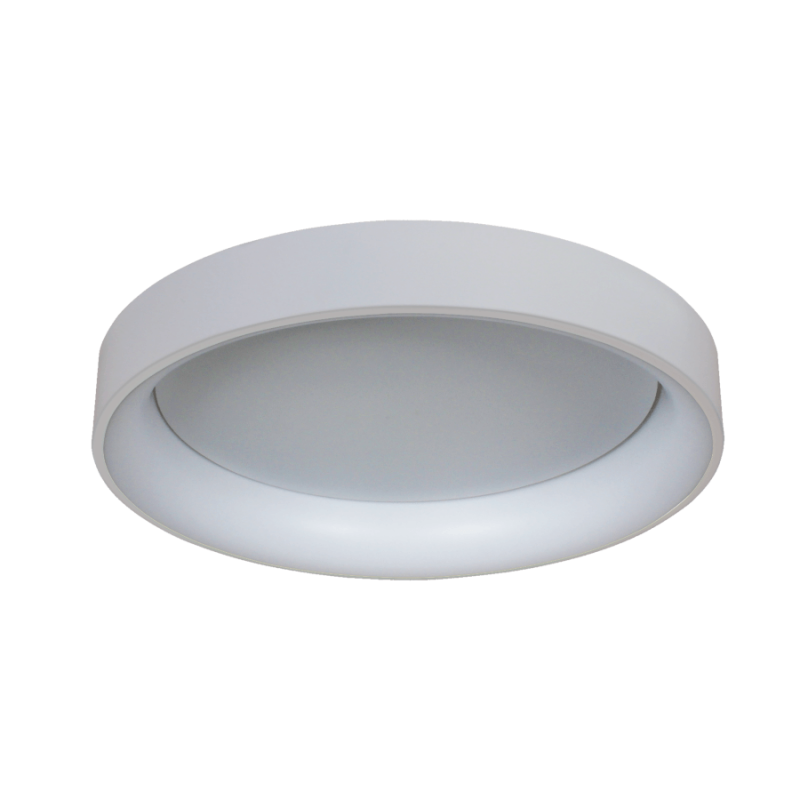 Laelamp Georgia