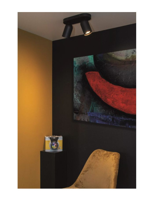 Ceiling lamp Punch