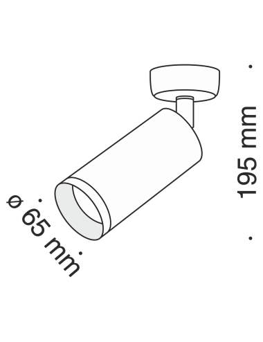 Maytoni Spotlampa Focus C017CW-01W | TavaGaisma.lv