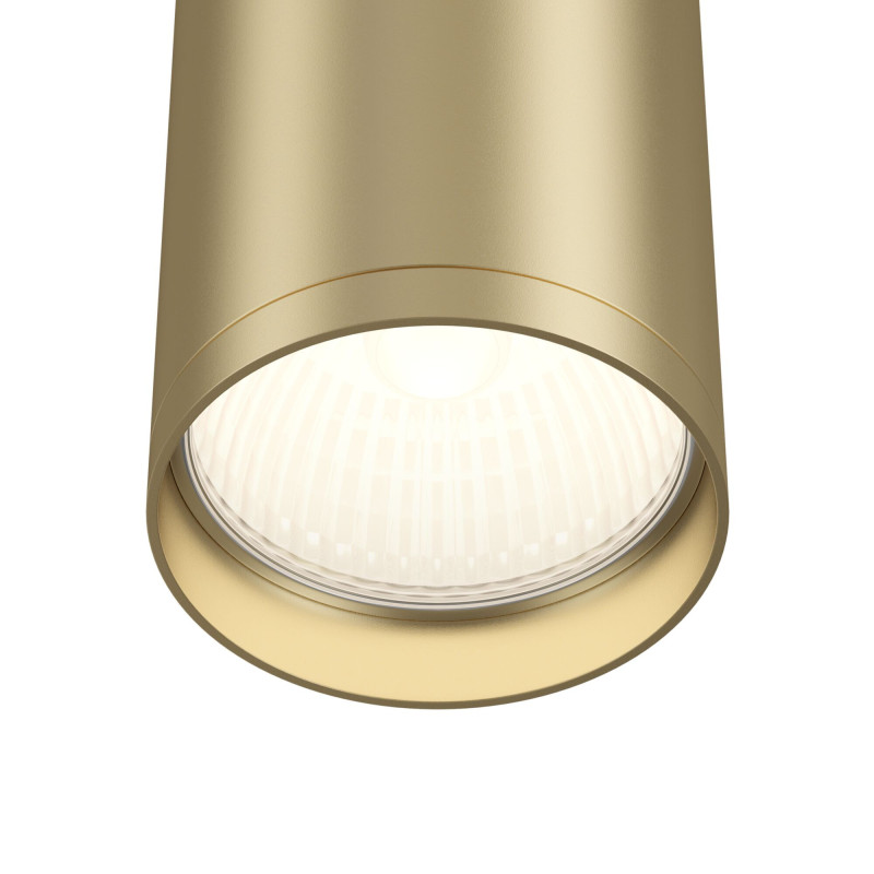 Spotlight Focus S