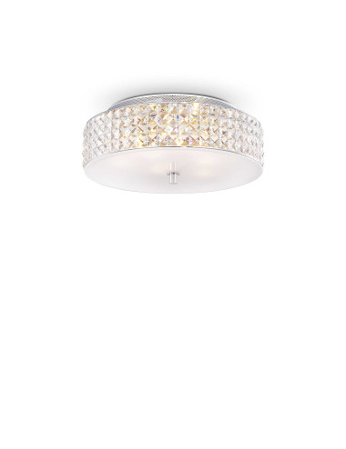 Liustra Roma pl6