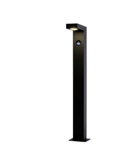 Gartenleuchte Texas-IR IP54