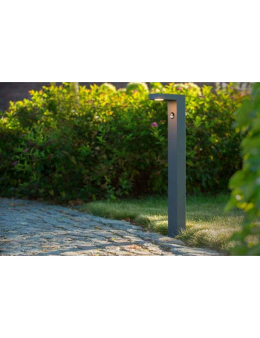 Gartenleuchte Texas-IR IP54
