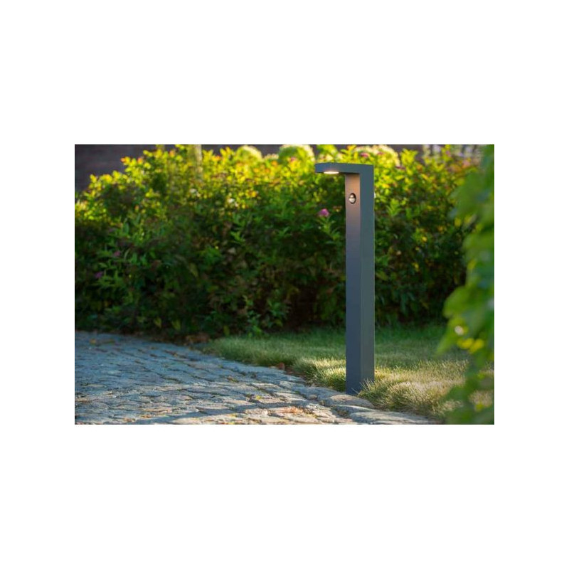 Dārza lampa Texas-IR IP54