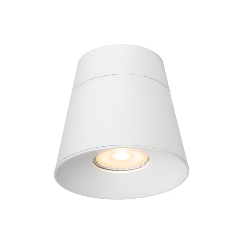 Spotlight Trigono