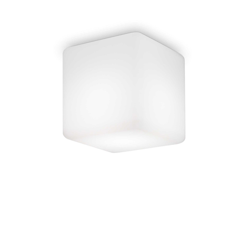 Ceiling lamp Luna pl1 IP44