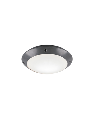 Griestu lampa Camaro IP54