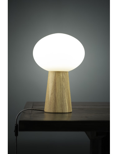 Galda lampa Pater 108409 | Markslöjd | TavaGaisma.lv