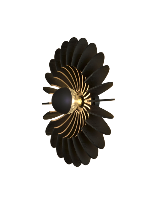 Wandleuchte Rosa Del Desierto 60
