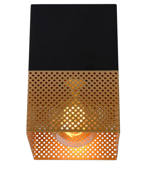 Griestu lampa Renate