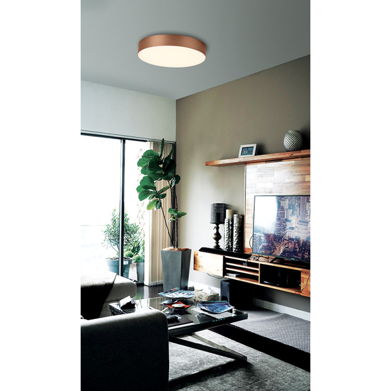 Griestu lampa Bruce 45