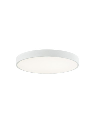 Laelamp Madison 40