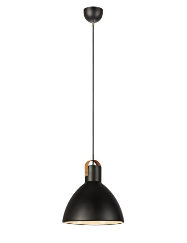 Pendant lamp Eagle
