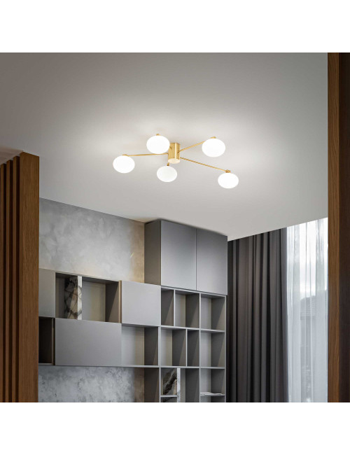 Ceiling lamp Hermes pl5 d90