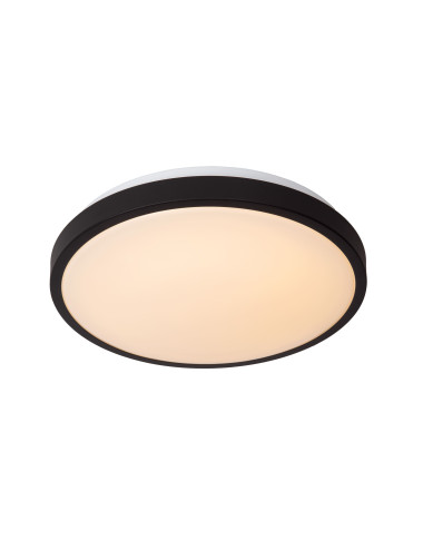 Griestu lampa Dasher Ø 34,8 IP44