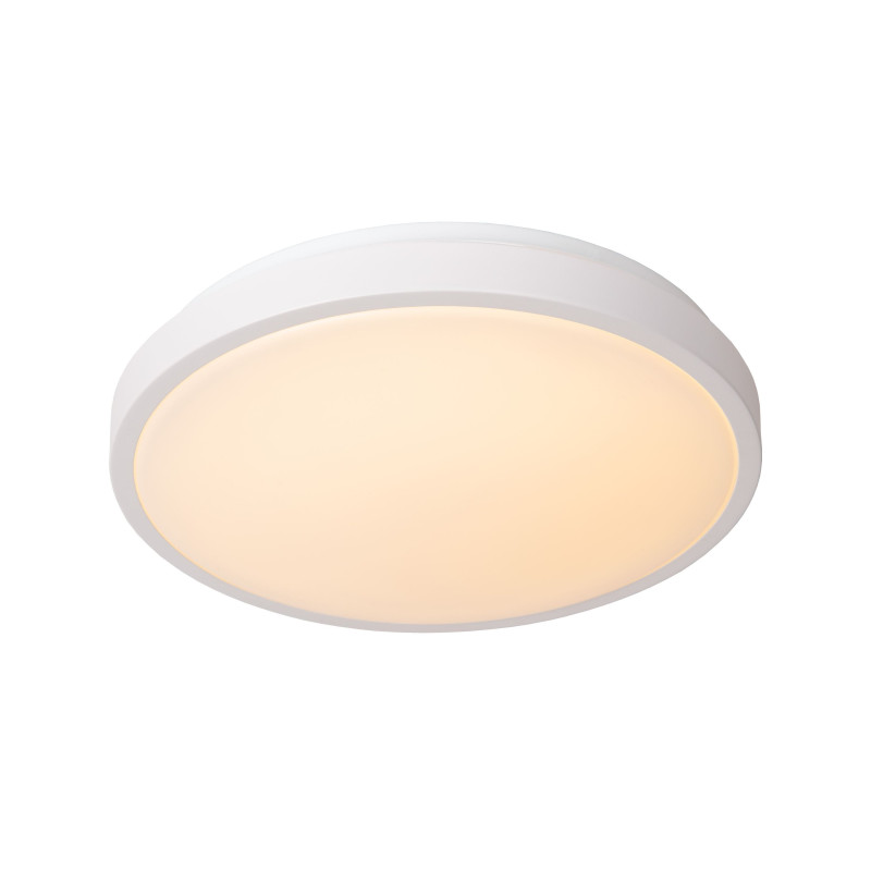 Griestu lampa Dasher Ø 34,8 IP44