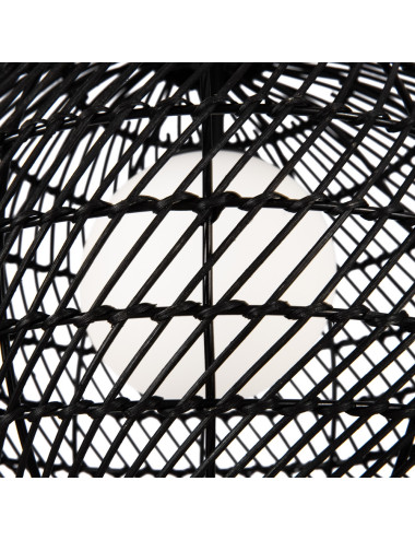 Piekaramā lampa Cane