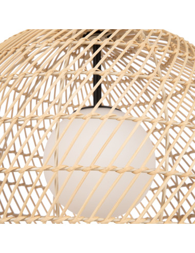 Piekaramā lampa Cane