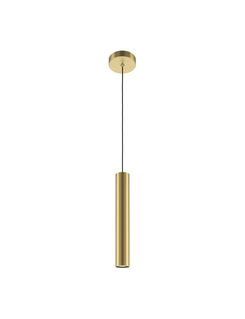 Piekaramā lampa Pro Focus