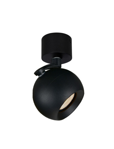 Spotlight Lafin