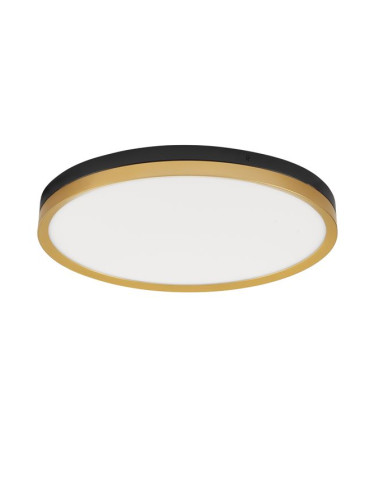 Deckenleuchte Cantria Ø50 LED
