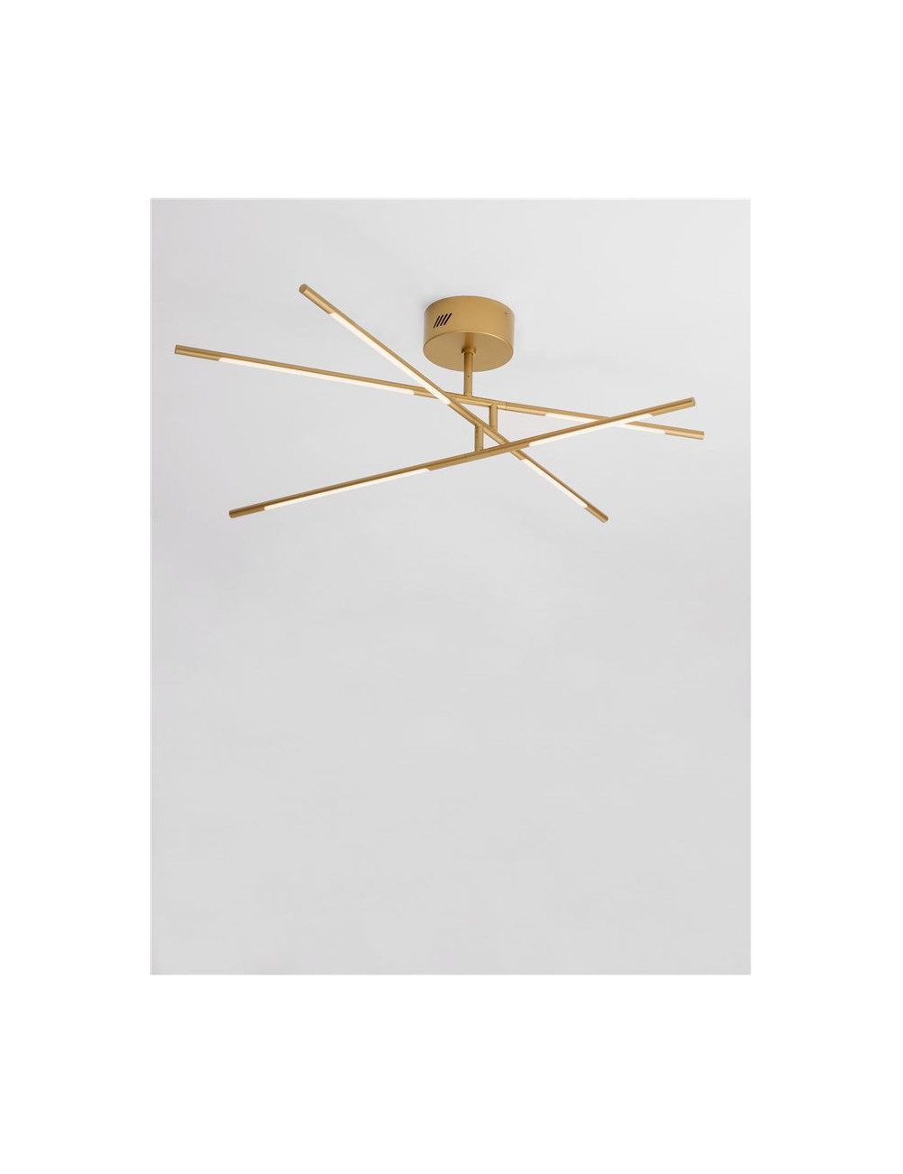 Griestu lampa Raccio LED