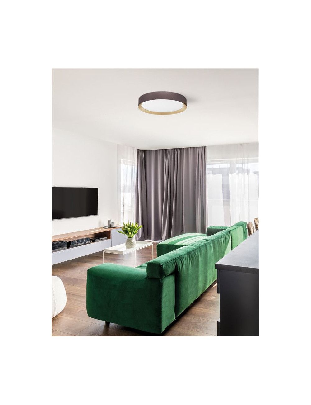 Потолочная лампа Luton Ø55 LED