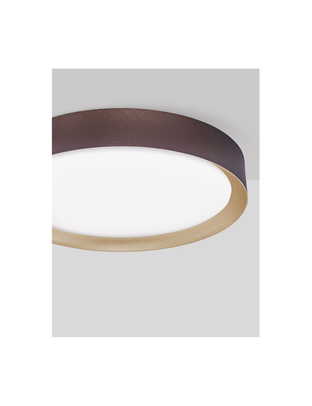 Griestu lampa Luton Ø55 LED