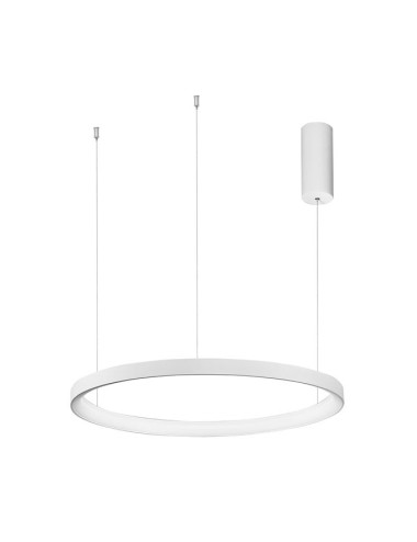 Pendelleuchte Pertino Ø58 LED