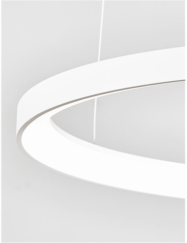 Pendelleuchte Pertino Ø58 LED