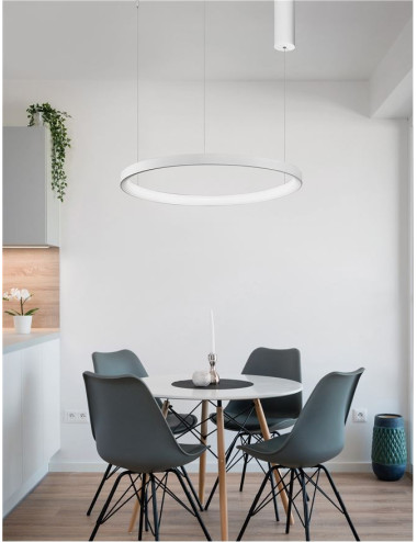 Pendelleuchte Pertino Ø48 LED