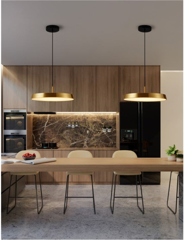 Pakabinamas šviestuvas Vetro Ø50 LED