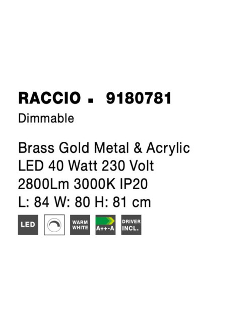 Pendant lamp Raccio LED