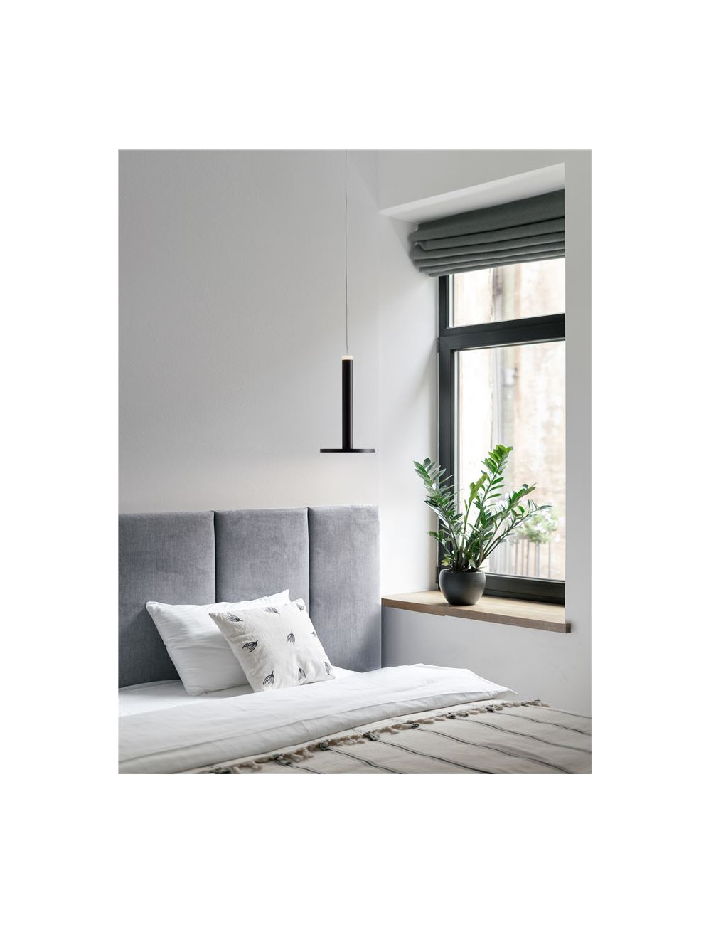 Piekaramā lampa Palencia Ø15 LED