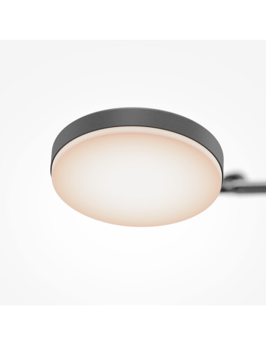 Ceiling lamp Fad LED MOD070CL-L15B3K1 | Maytoni | TavaGaisma.lv/en
