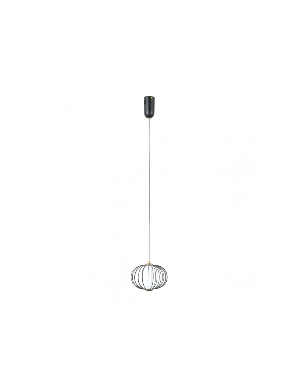 Pakabinamas šviestuvas Rabel Ø20 LED