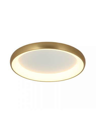 Griestu lampa 2058 Ø80 LED