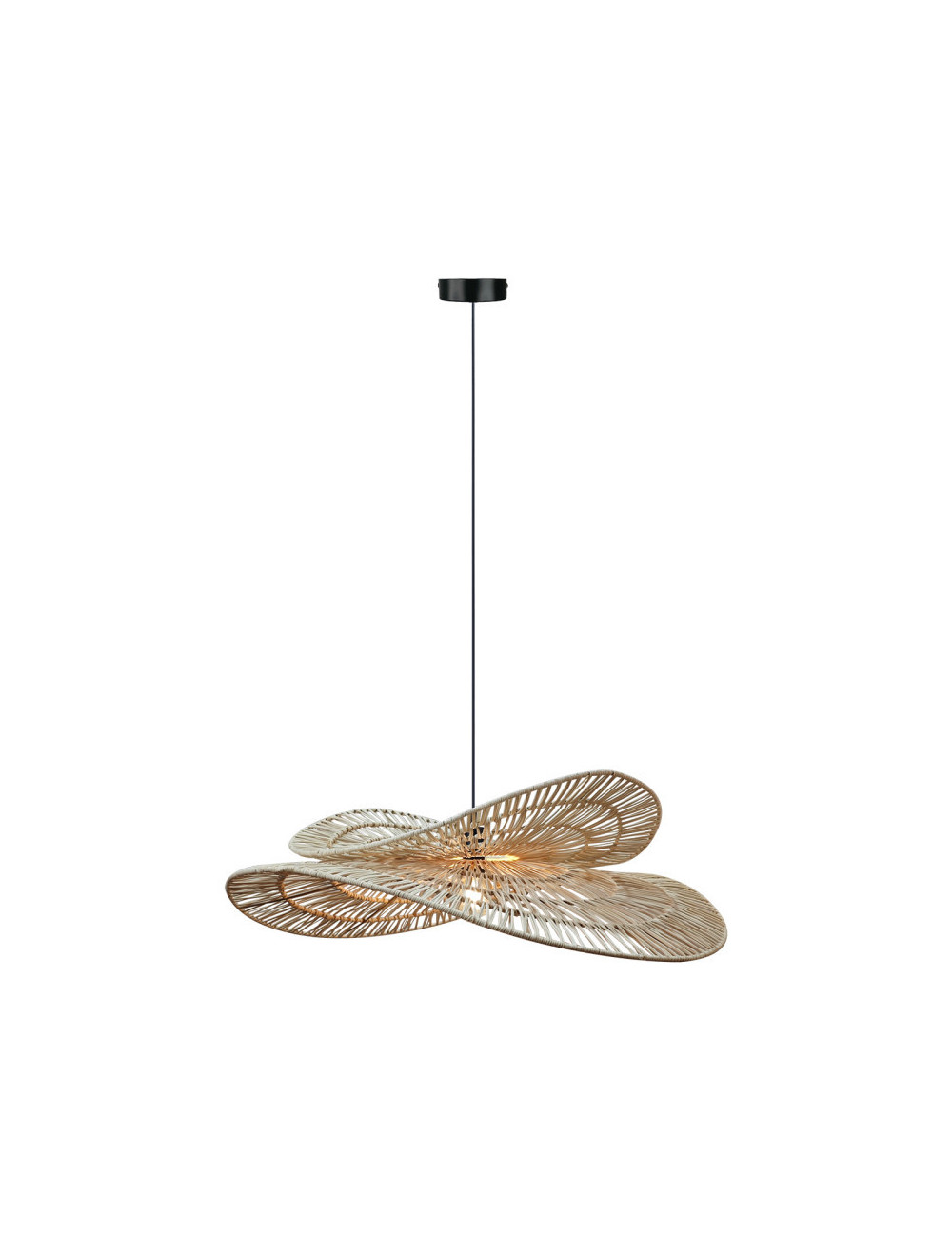 Pakabinamas šviestuvas Raya