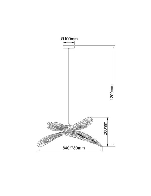 Pakabinamas šviestuvas Raya
