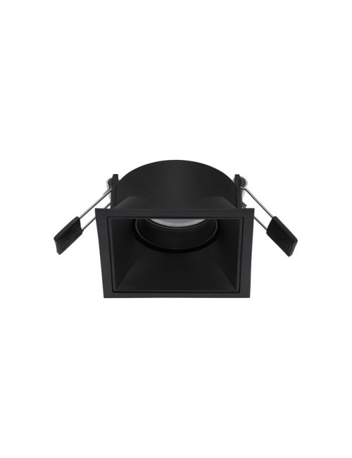 Įmontuojamas šviestuvas Reina