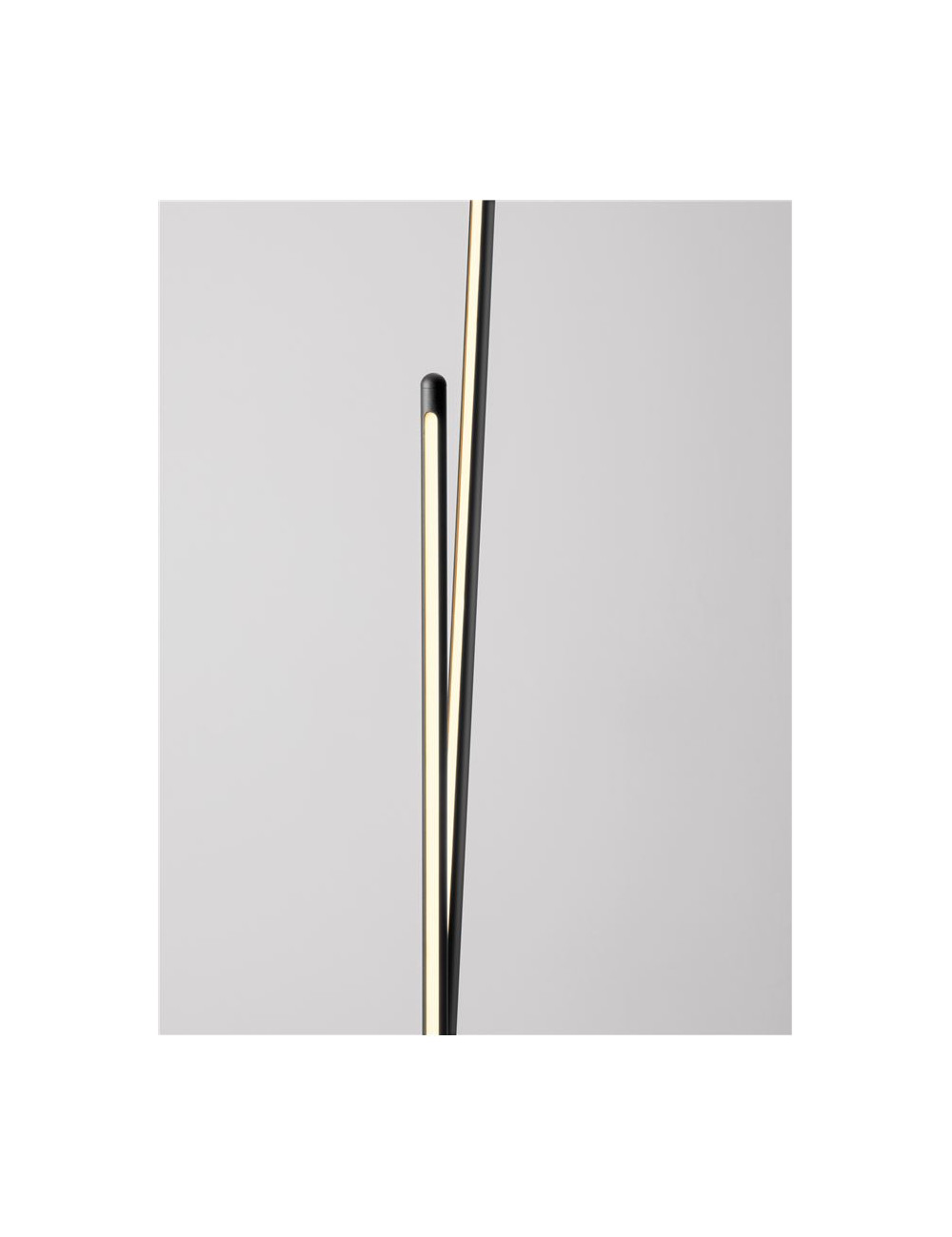 Toršeras Intec LED